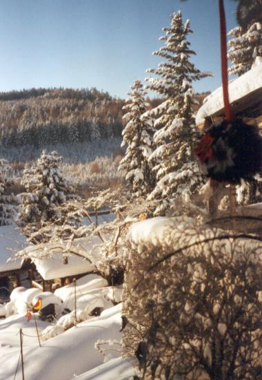 Robert ZENZ und Marita CASTIGLIONI-ZENZ - Garten-Seite der HOMEPAGE